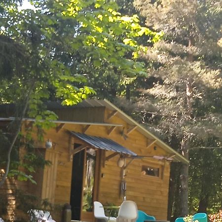 Chalet Libellule Domaine De La Mamounette Champclause エクステリア 写真