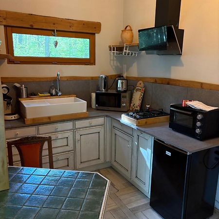 Chalet Libellule Domaine De La Mamounette Champclause エクステリア 写真