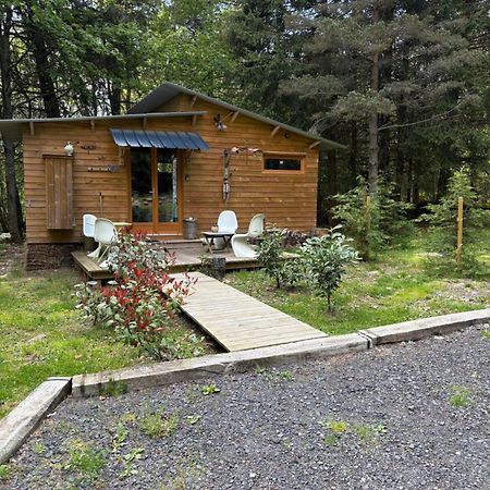 Chalet Libellule Domaine De La Mamounette Champclause エクステリア 写真