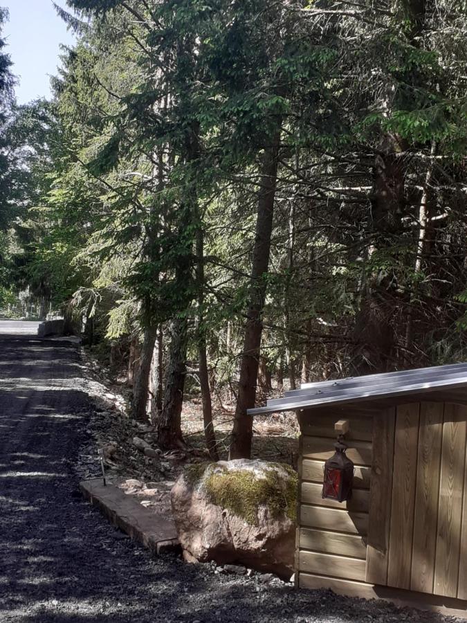 Chalet Libellule Domaine De La Mamounette Champclause エクステリア 写真
