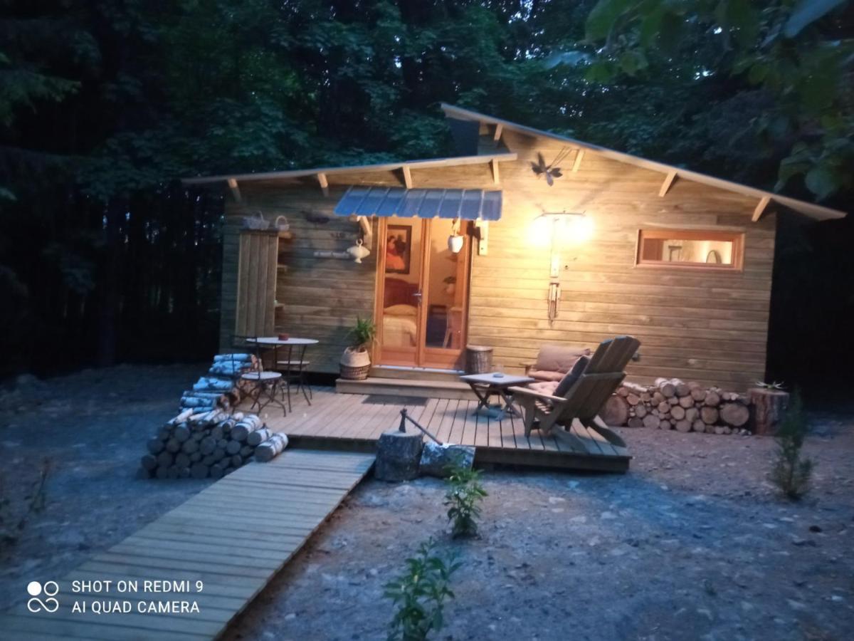 Chalet Libellule Domaine De La Mamounette Champclause エクステリア 写真