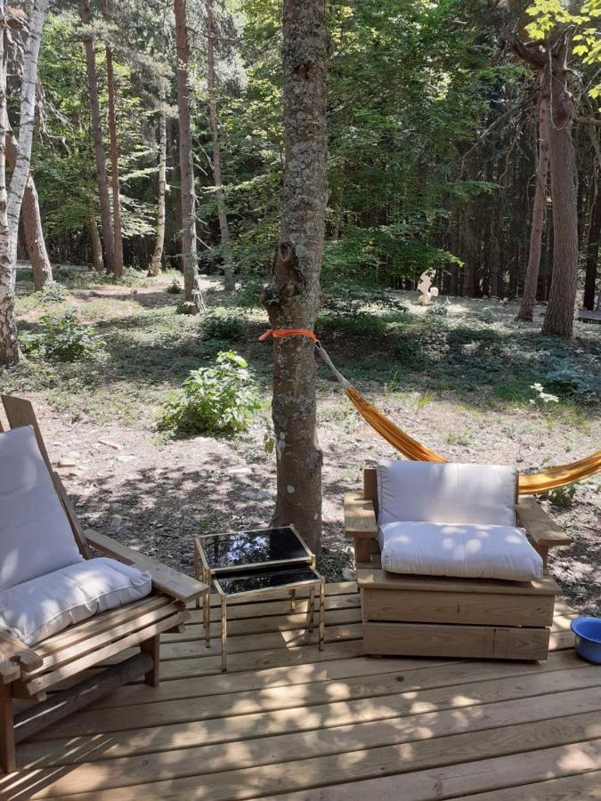 Chalet Libellule Domaine De La Mamounette Champclause エクステリア 写真