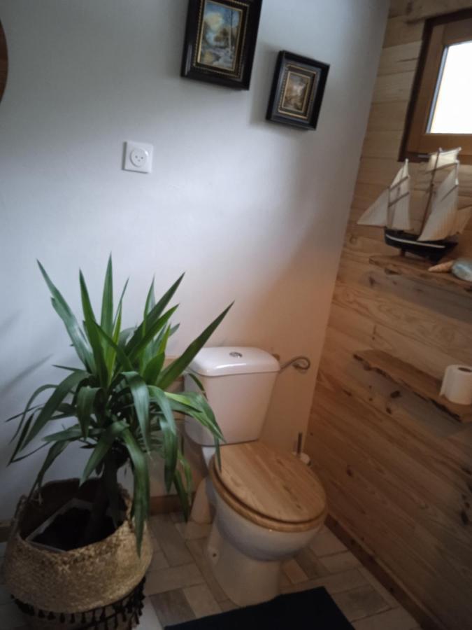 Chalet Libellule Domaine De La Mamounette Champclause エクステリア 写真