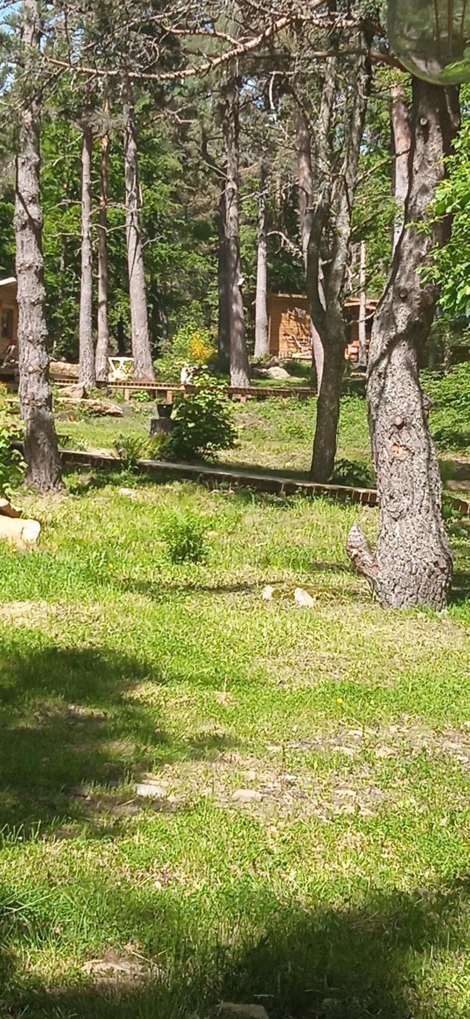 Chalet Libellule Domaine De La Mamounette Champclause エクステリア 写真